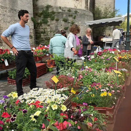 Vendégház Des Pins